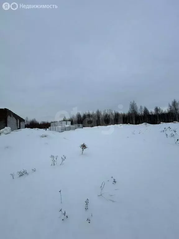 Участок в Тульская область, муниципальное образование Алексин, село ... - Фото 0