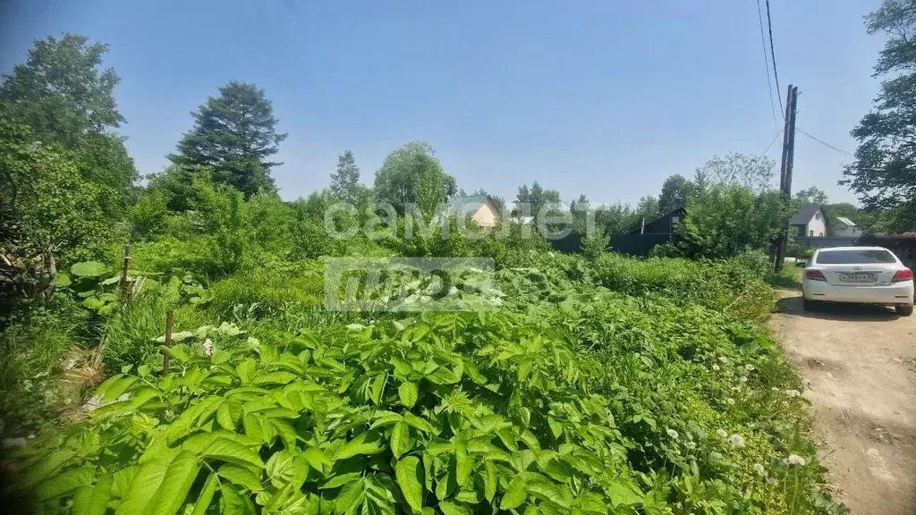 Участок в Сахалинская область, Южно-Сахалинск Медик СНТ, ул. Пирогова, ... - Фото 1