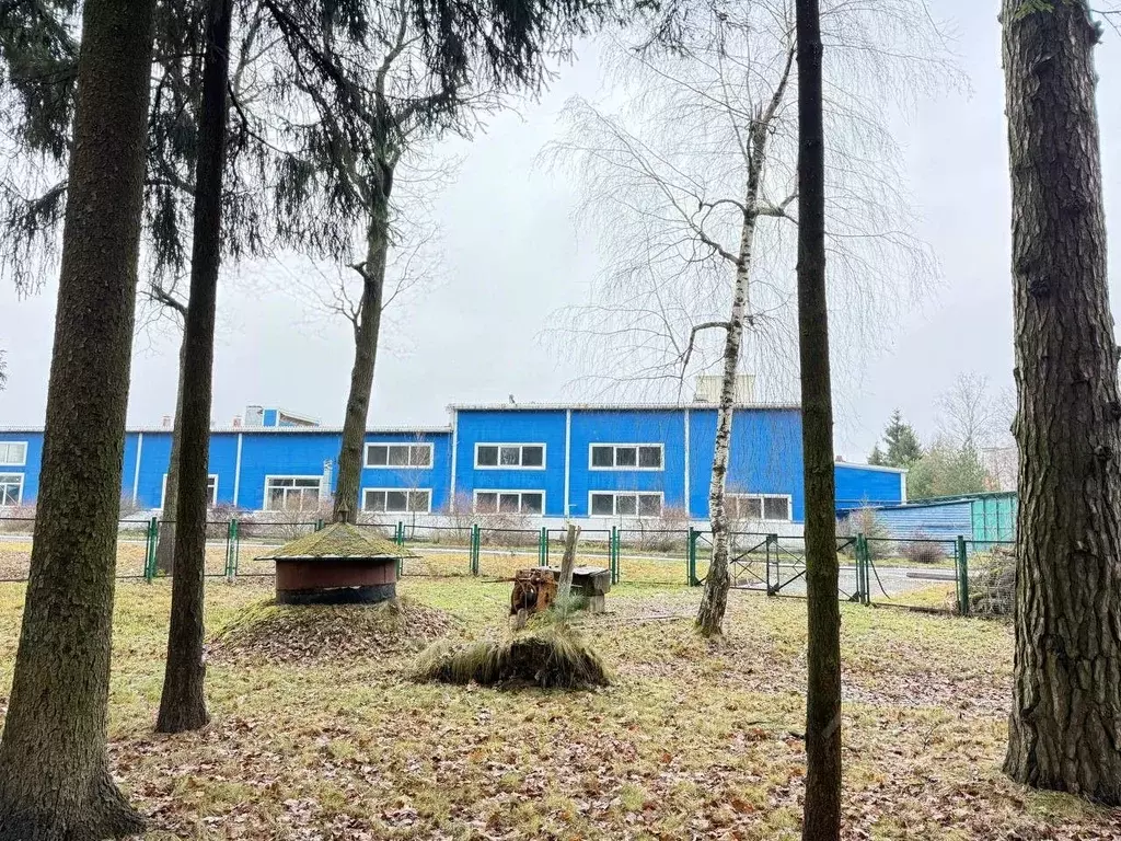 Производственное помещение в Московская область, Одинцовский городской ... - Фото 2