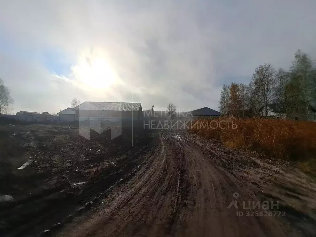 Участок в Тюменская область, Тюмень Медик СНТ, ул. Кедровая, 543 (6.0 ... - Фото 2