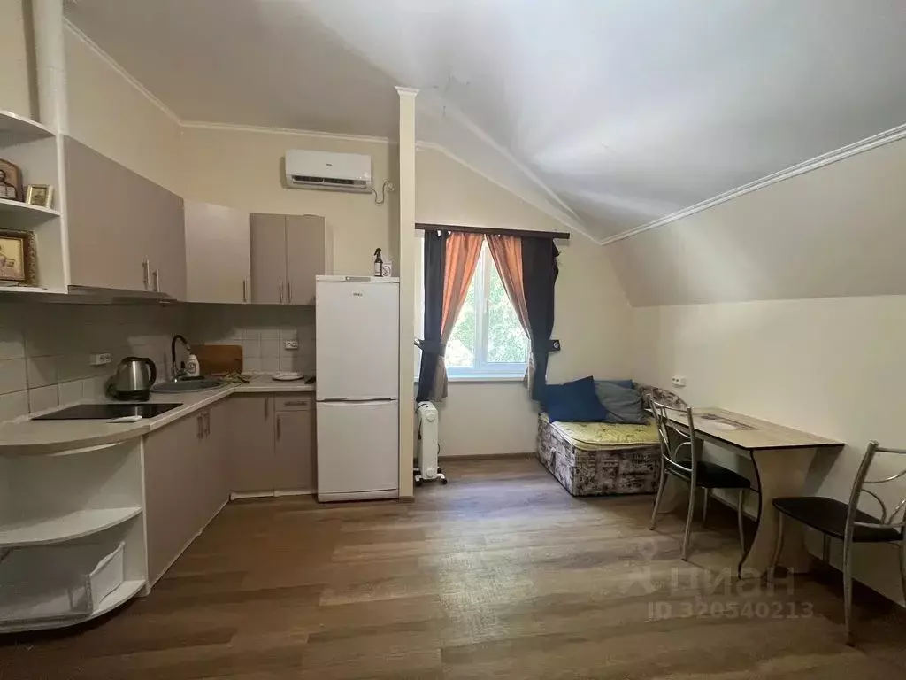 Студия Крым, Черноморское пгт ул. 60-летия Октября, 1-3 (25.0 м) - Фото 1