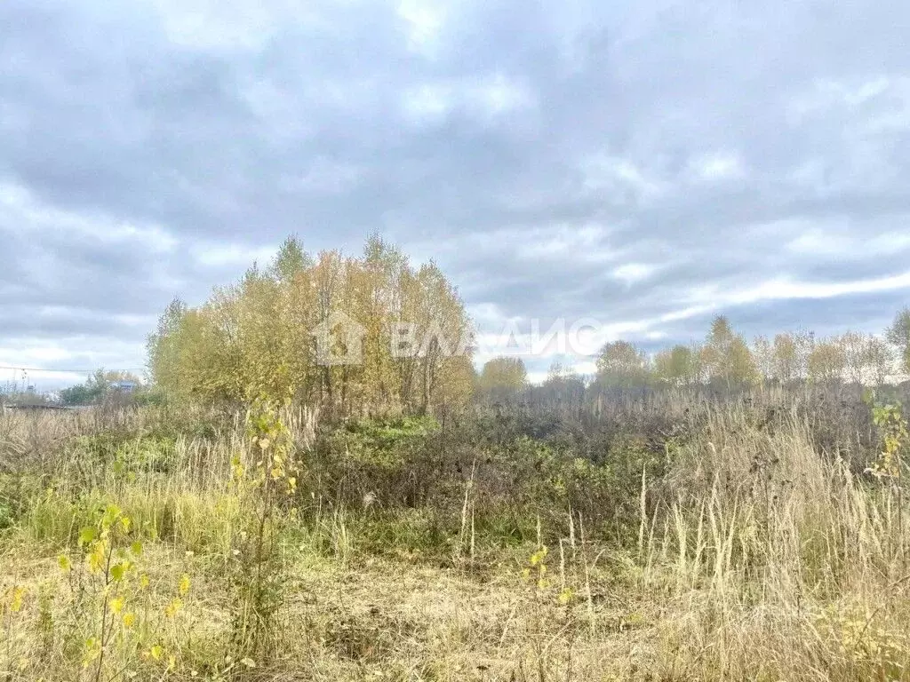 Участок в Владимирская область, Суздальский район, с. Новоалександрово ... - Фото 1