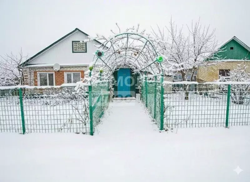 Дом в Ульяновская область, Чердаклы рп ул. Красноармейская, 12 (64 м) - Фото 1