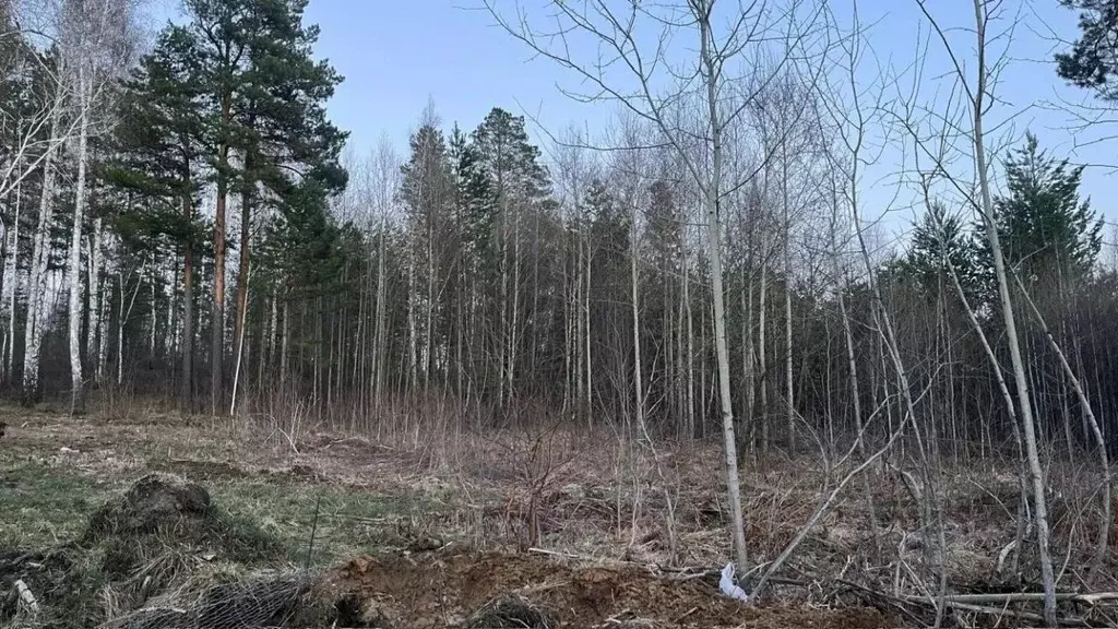 Участок в Иркутская область, Иркутский муниципальный округ, д. ... - Фото 2