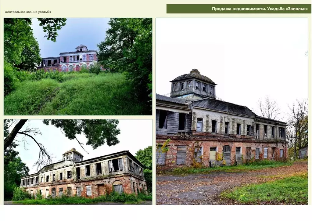 Участок в Ленинградская область, Лужский район, Володарское с/пос, ... - Фото 2