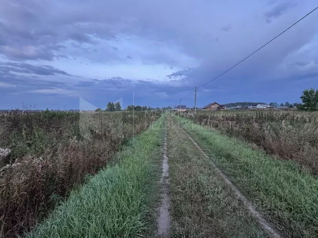 Участок в Тюменская область, Тюменский муниципальный округ, с. ... - Фото 1