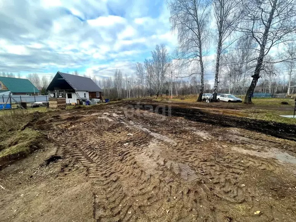 Участок в Новосибирская область, Мошково рп  (8.0 сот.) - Фото 2