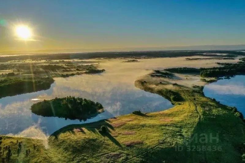 Участок в Новгородская область, Валдайский район, Ивантеевское с/пос, ... - Фото 1