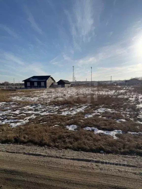 Участок в Новосибирская область, Новосибирский район, Толмачевский ... - Фото 2