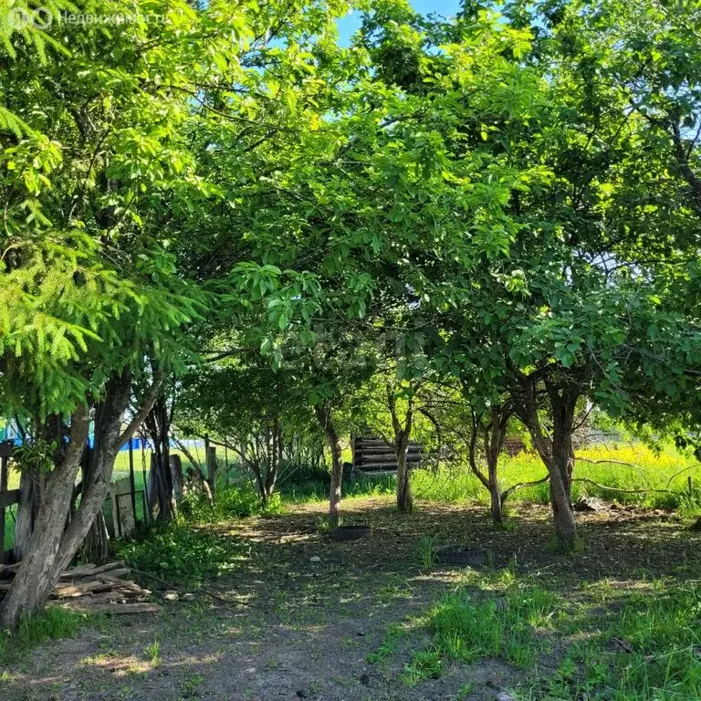 Участок в деревня Новые Сарты, Луговая улица (40 м) - Фото 1