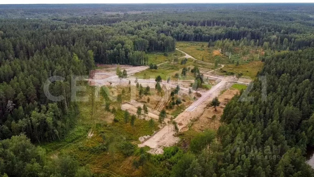 Участок в Ленинградская область, Приозерский район, Громовское с/пос, ... - Фото 1