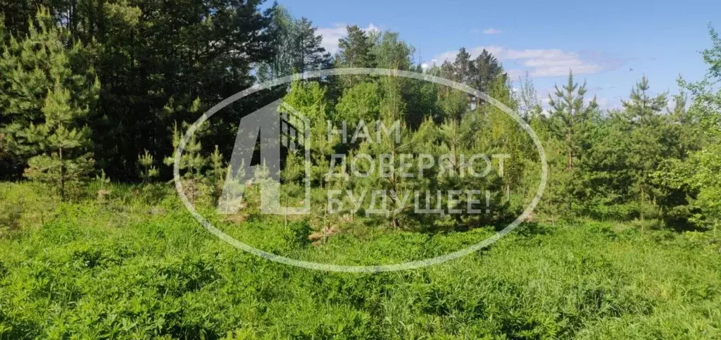 Участок в Пермский край, Чайковский городской округ, д. Дубовая ул. ... - Фото 2