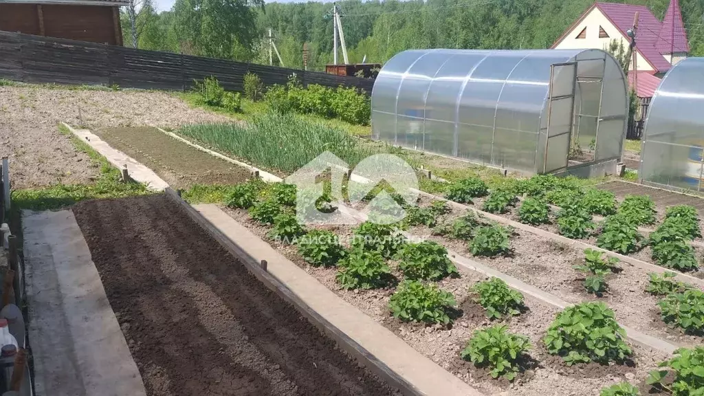 Участок в Новосибирская область, Новосибирский район, с. Раздольное ... - Фото 1