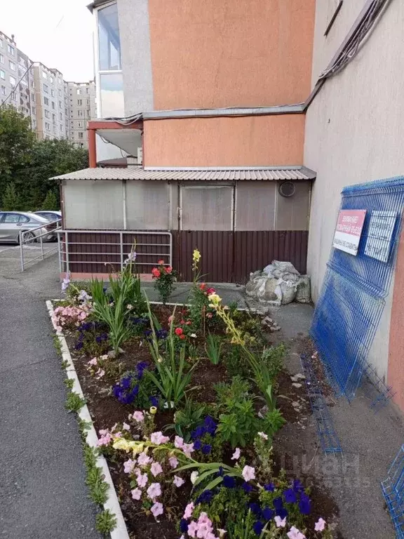 Помещение свободного назначения в Челябинская область, Челябинск ... - Фото 1