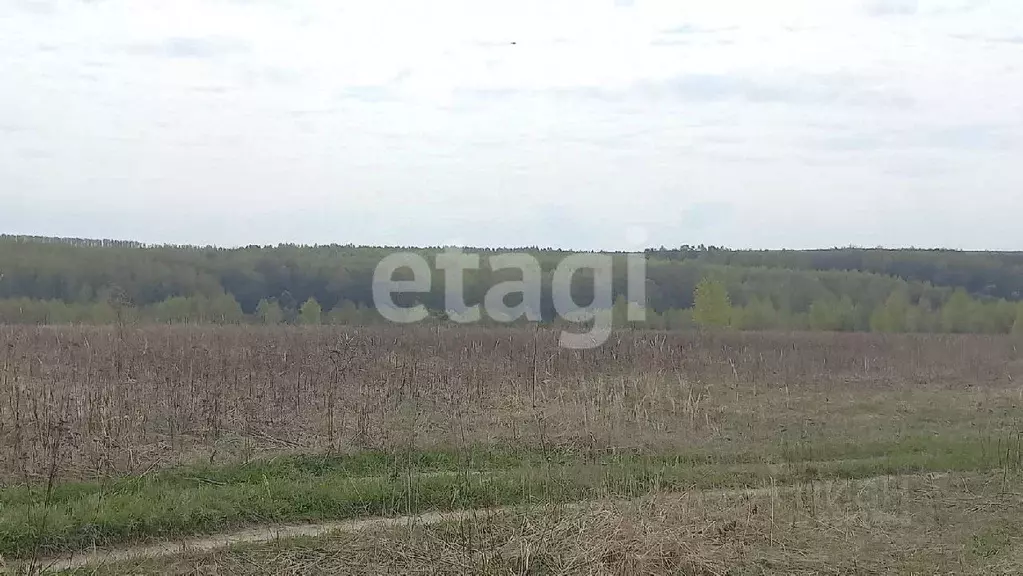 Участок в Тульская область, Дубенский район, Воскресенское ... - Фото 0