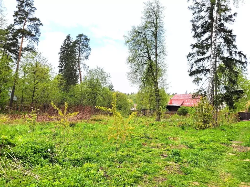 Участок, 14 сот., поселения (ижс) - Фото 2