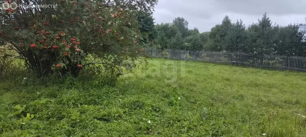 Участок в Нерехтский район, Волжское сельское поселение, деревня ... - Фото 0