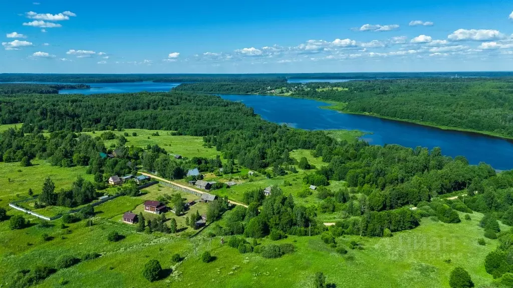 Участок в Тверская область, Селижаровский муниципальный округ, д. ... - Фото 1