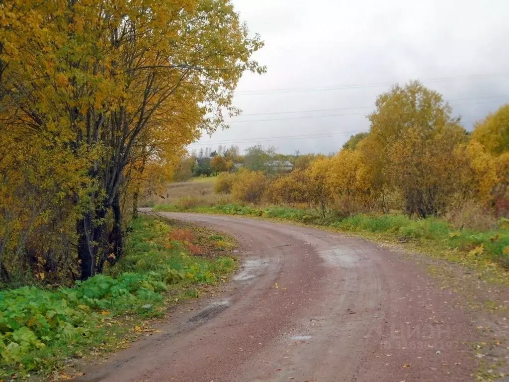Участок в Ленинградская область, Выборгский район, Красносельское ... - Фото 1