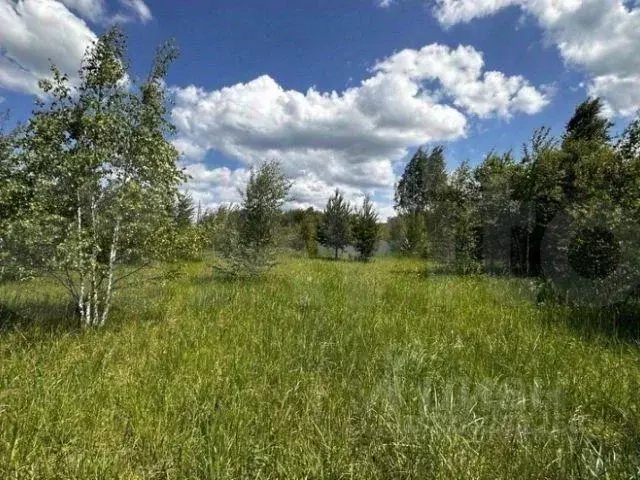 Участок, 6 сот., поселения (ижс) - Фото 1