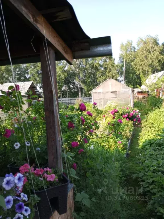 Дом в Иркутская область, Ангарск Сосновый бор СНТ, 99 (35 м) - Фото 1