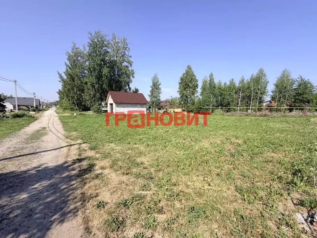 Участок в Новосибирская область, Новосибирский район, Морской ... - Фото 2