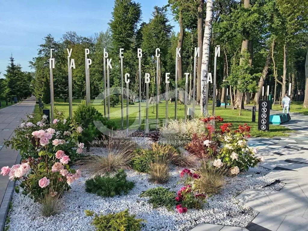 2-к кв. Калининградская область, Гурьевск ул. Героя России ... - Фото 1