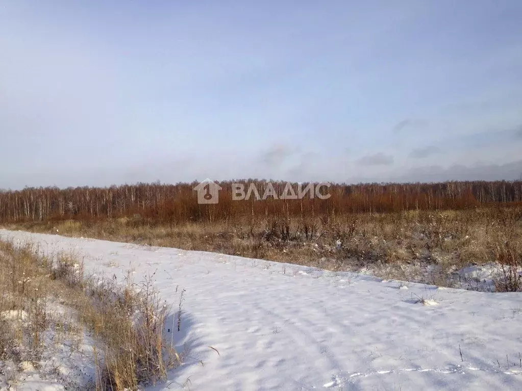 Участок в Московская область, Мытищи городской округ, д. Протасово 36 ... - Фото 1