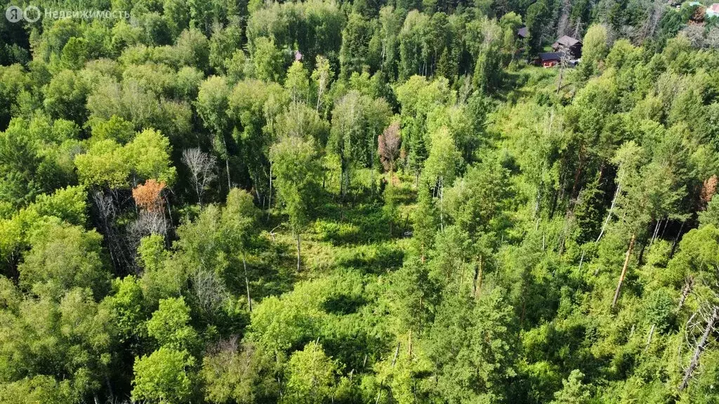 Участок в Томский район, Богашёвское сельское поселение, ДНП Некрасово ... - Фото 1