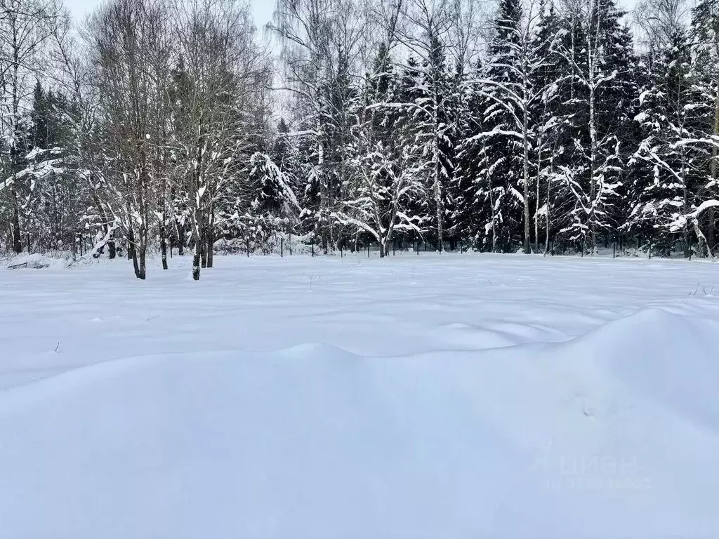 Участок в Московская область, Домодедово городской округ, д. Минаево, ... - Фото 2
