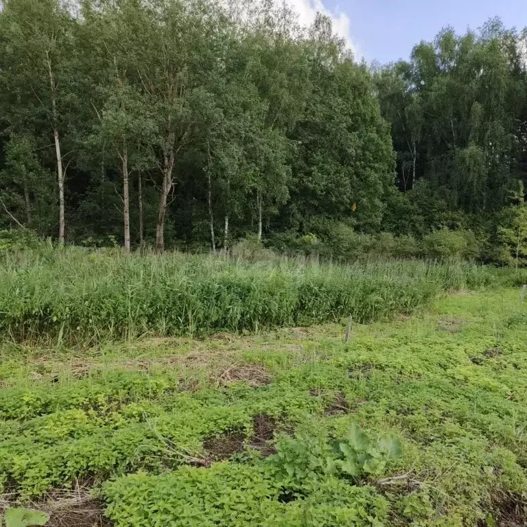 Участок в Калужская область, Малоярославец Карижская ул., 1 (10.0 ... - Фото 1