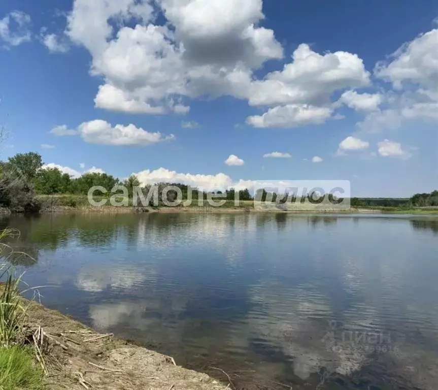 Участок в Самарская область, Красноармейский район, Колывань с/пос, ... - Фото 1