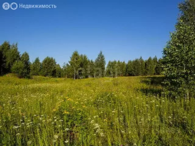 Участок в муниципальное образование Киров, деревня Эсауловы (15 м) - Фото 1