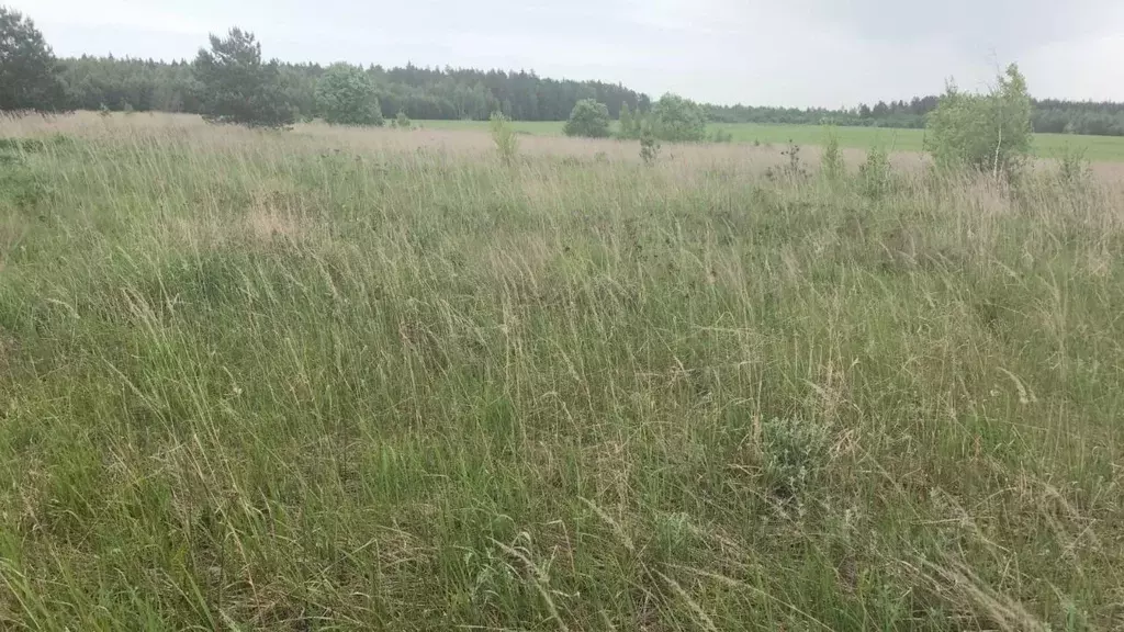 Участок в Московская область, Орехово-Зуевский городской округ, д. ... - Фото 1