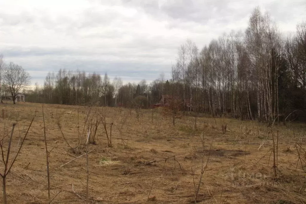 Участок в Московская область, Шаховская муниципальный округ, д. ... - Фото 1