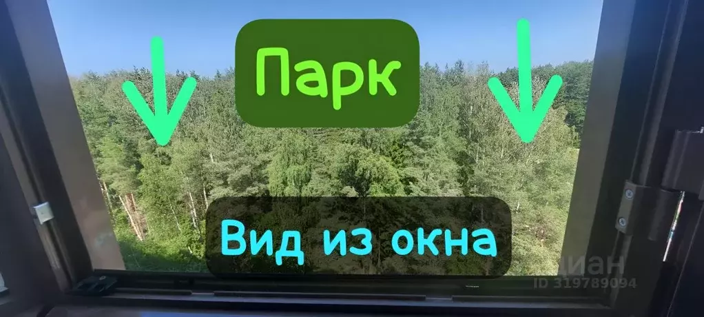 Студия Санкт-Петербург, Санкт-Петербург, Ломоносов Михайловская ул., ... - Фото 0