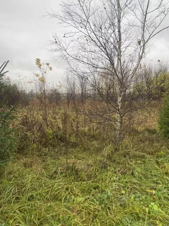 Участок в Московская область, Ступино городской округ, с. Березнецово  ... - Фото 2