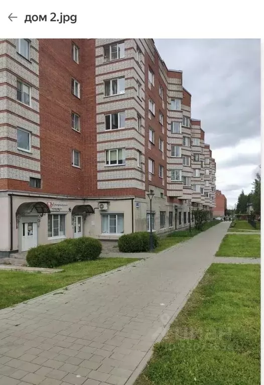 2-к кв. Ленинградская область, Тосно г. Тосненский район, Тосненское ... - Фото 2