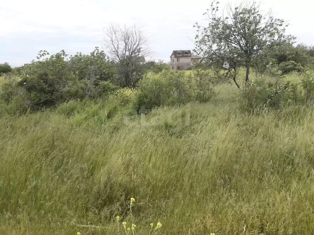 Участок в Крым, Феодосия муниципальный округ, с. Наниково ул. ... - Фото 1