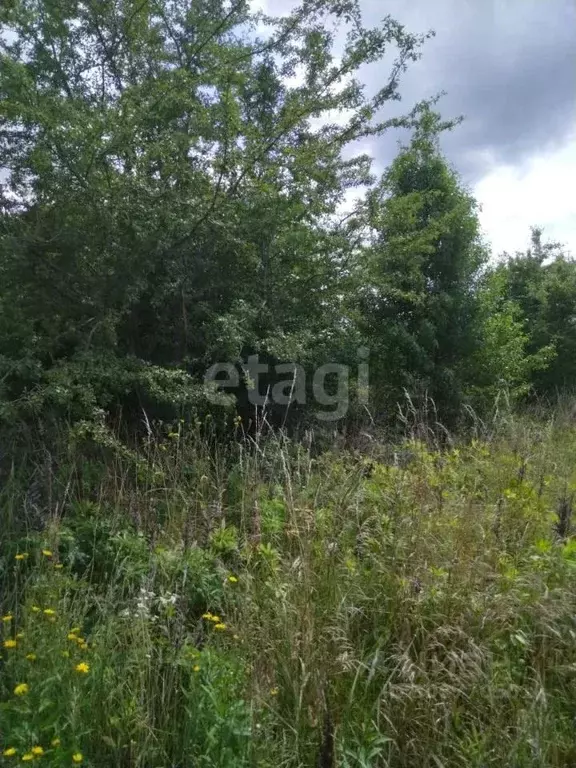 Участок в Калининградская область, Светловский городской округ, пос. ... - Фото 1