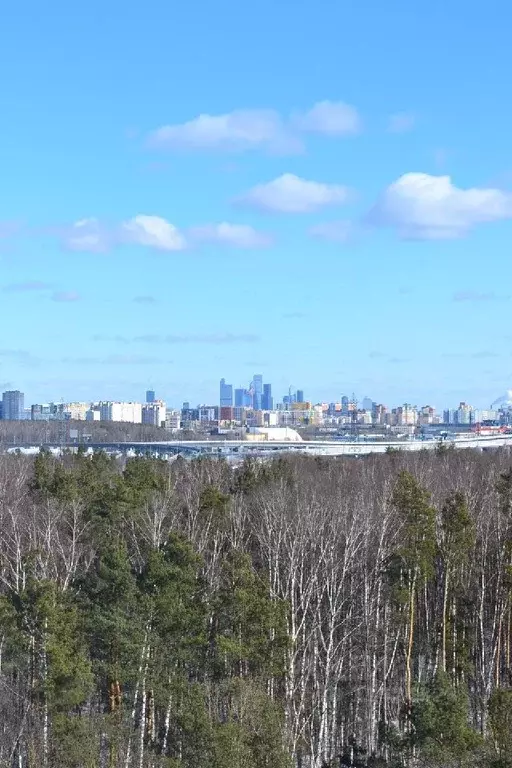 1-к кв. Московская область, Одинцовский городской округ, с. Немчиновка ... - Фото 0