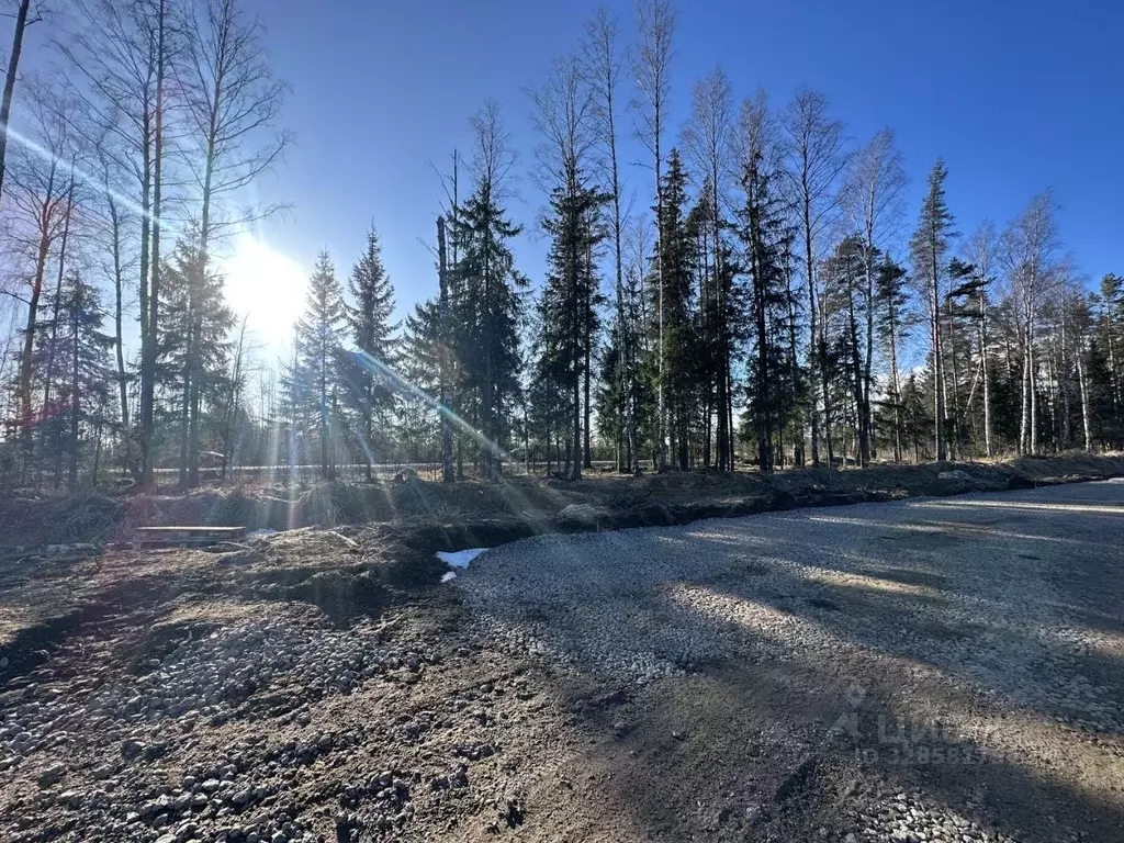 Участок в Ленинградская область, Всеволожский район, Агалатовское ... - Фото 1