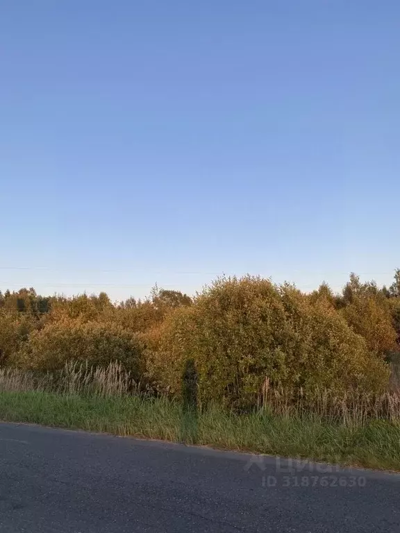 Участок в Красноярский край, Большемуртинский район, Российский ... - Фото 0