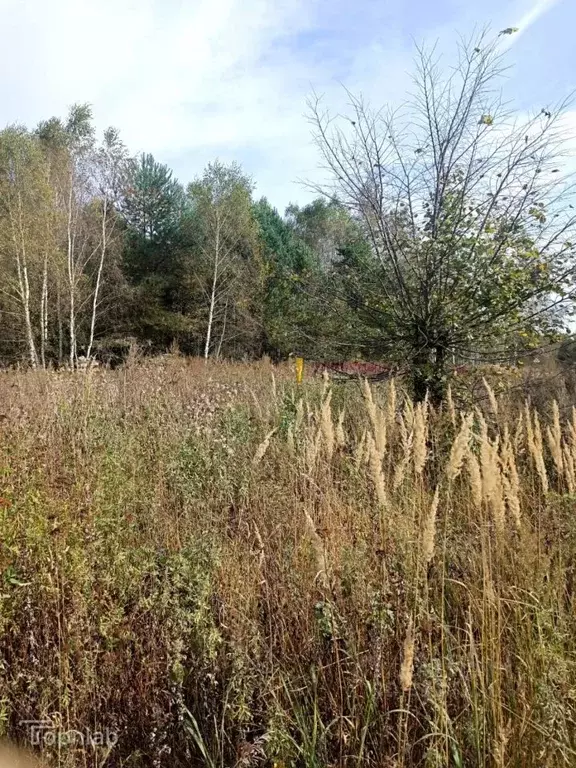Участок в Калужская область, Перемышльский район, Корекозево с/пос, с. ... - Фото 1