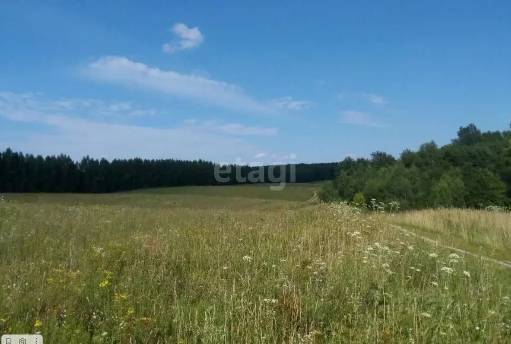 Участок в Нижегородская область, Богородский муниципальный округ, д. ... - Фото 1