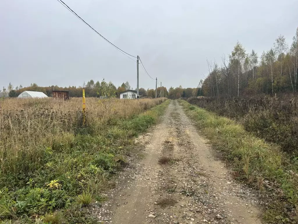 Участок в Владимирская область, Александровский муниципальный округ, ... - Фото 1