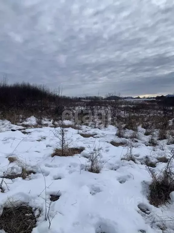 Участок в Адыгея, Майкопский район, Даховская ст-ца  (8.1 сот.) - Фото 1