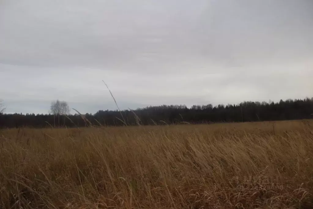 Участок в Московская область, Шаховская муниципальный округ, с. Белая ... - Фото 1