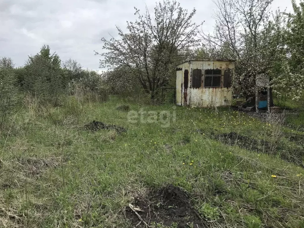 Участок в Мордовия, Саранск городской округ, пос. Озерный, Озерное СНТ ... - Фото 0