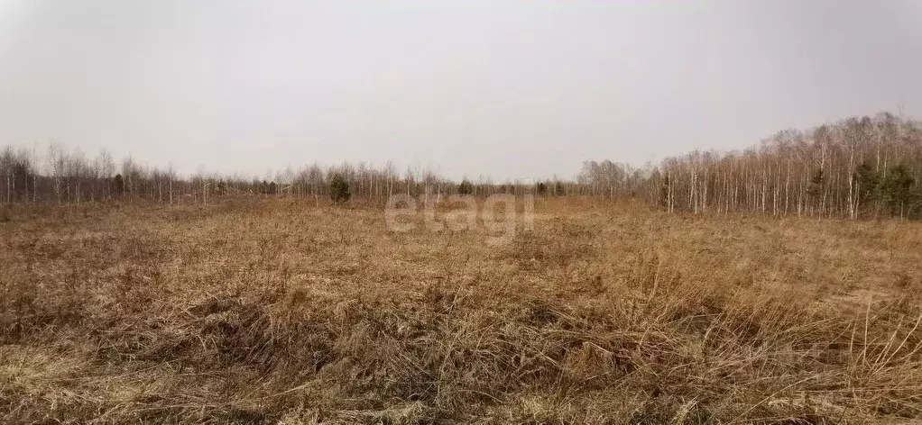 Участок в Новосибирская область, Мошковский район, Индия кп  (13.2 ... - Фото 0
